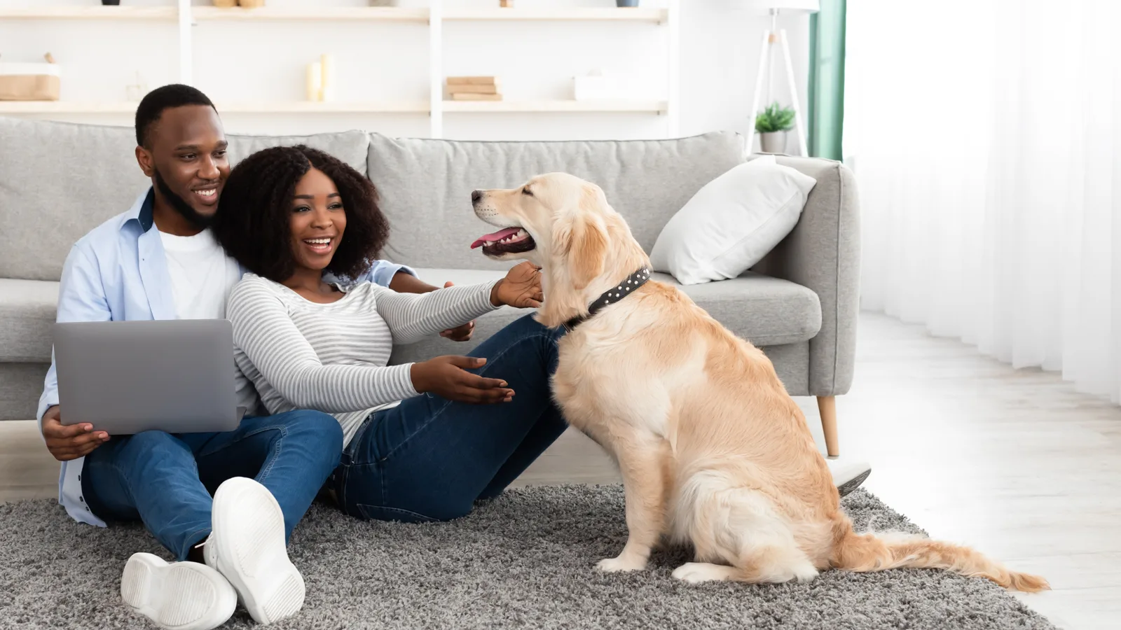 Man and woman on living room floor leaning up against their couch. They are with a Golden Labrador Retriever who is smiling the man, and the woman are laughing. In the background is a white bookshelf with contemporary decor on it. New pet-friendly apartment homes for rent with private fenced backyards in Arizona, Texas, Florida, and North Carolina with pool, pickleball, dog park, gym, clubhouse and gated community. *No breed or weight restrictions. Yardly